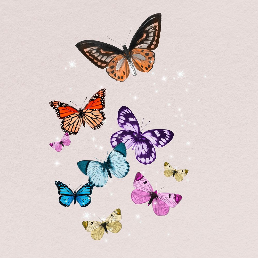 Colorful freedom butterflies illustration, insect design