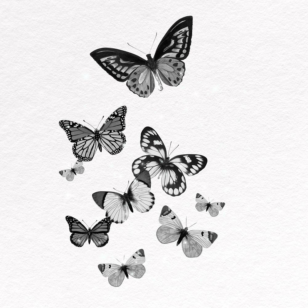 Freedom butterflies illustration, insect design, black and white