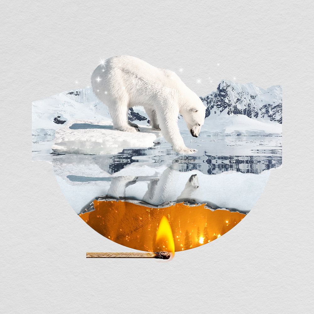 Endangered polar bear badge, climate change crisis