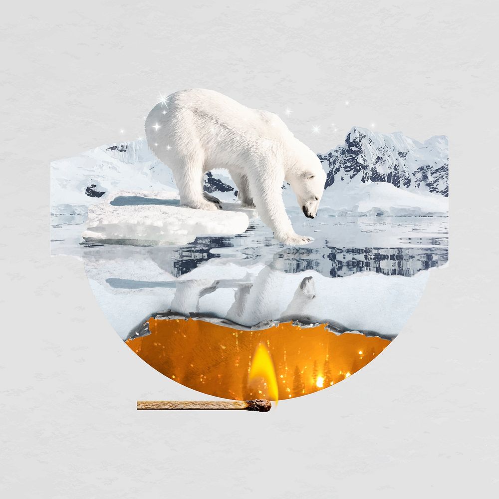 Endangered polar bear badge, climate change crisis vector