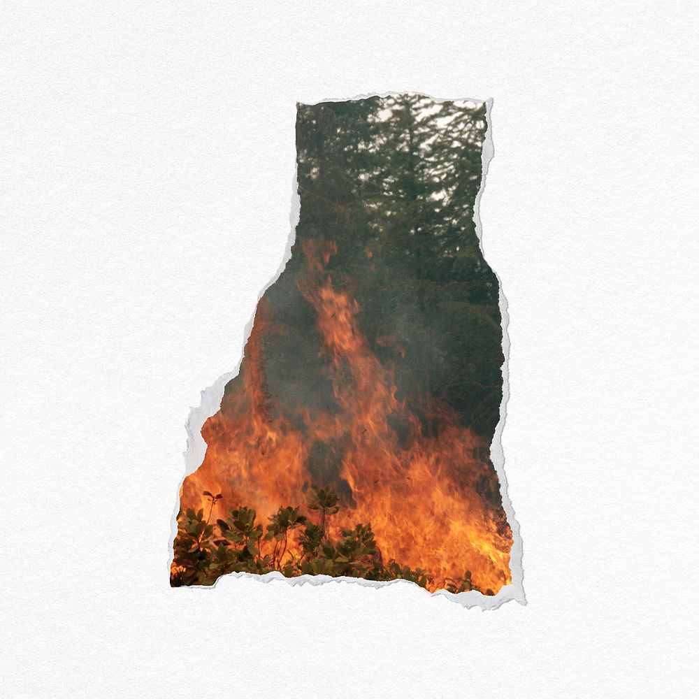 Forest fire ripped paper collage element psd