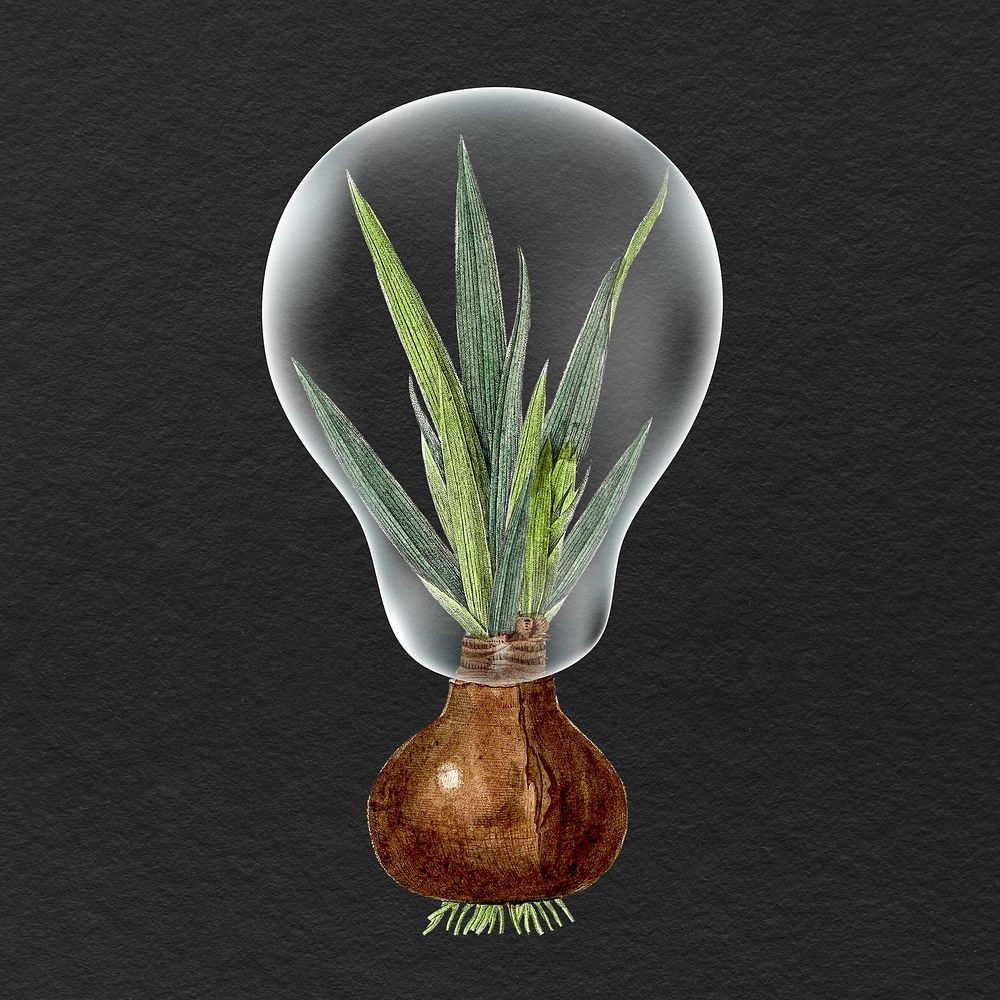 Squill plant light bulb illustration, protect the environment design psd