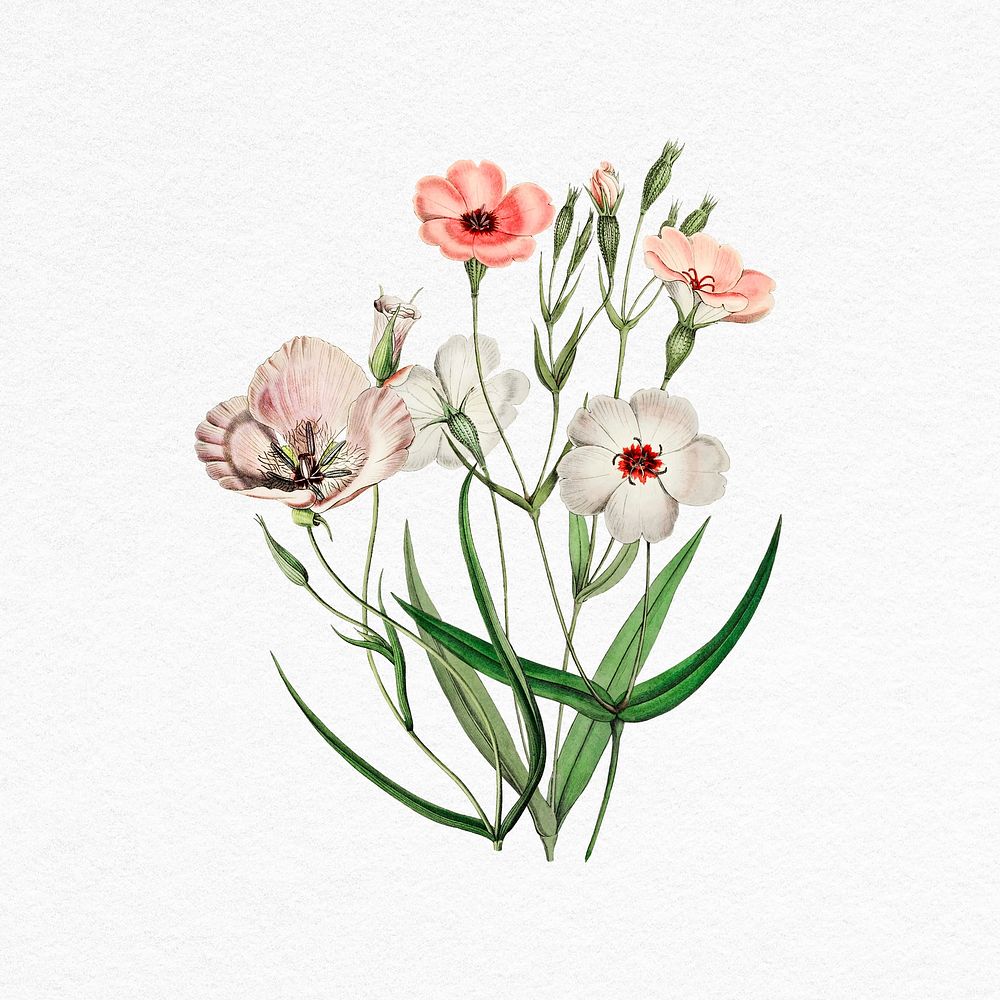 Pink flower illustration collage element psd