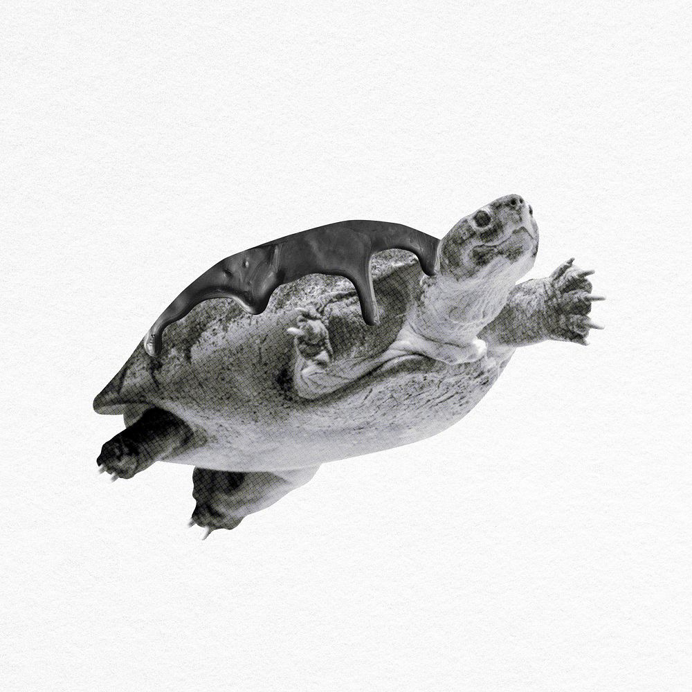 Sea turtle with oil collage element psd