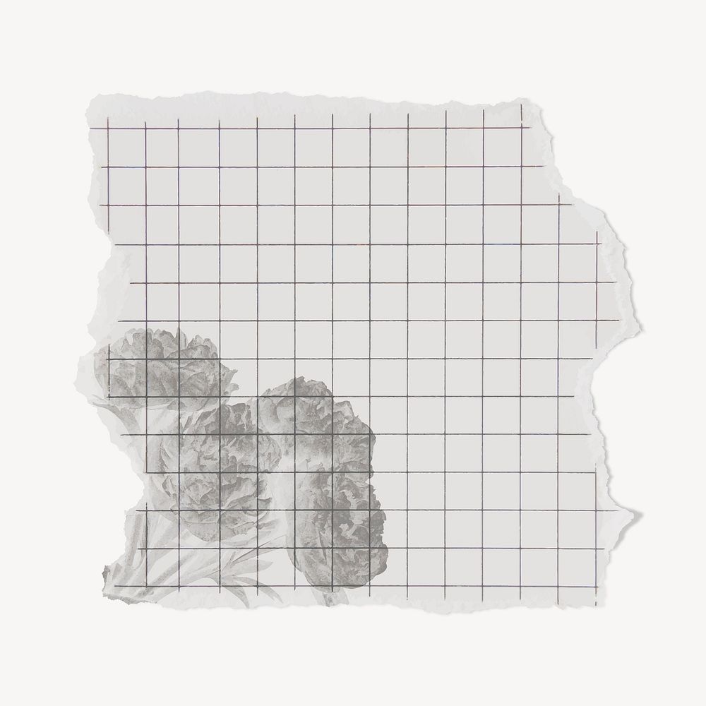 Floral grid paper, copy space vector