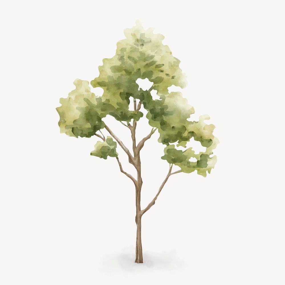 Watercolor tree, nature collage element vector