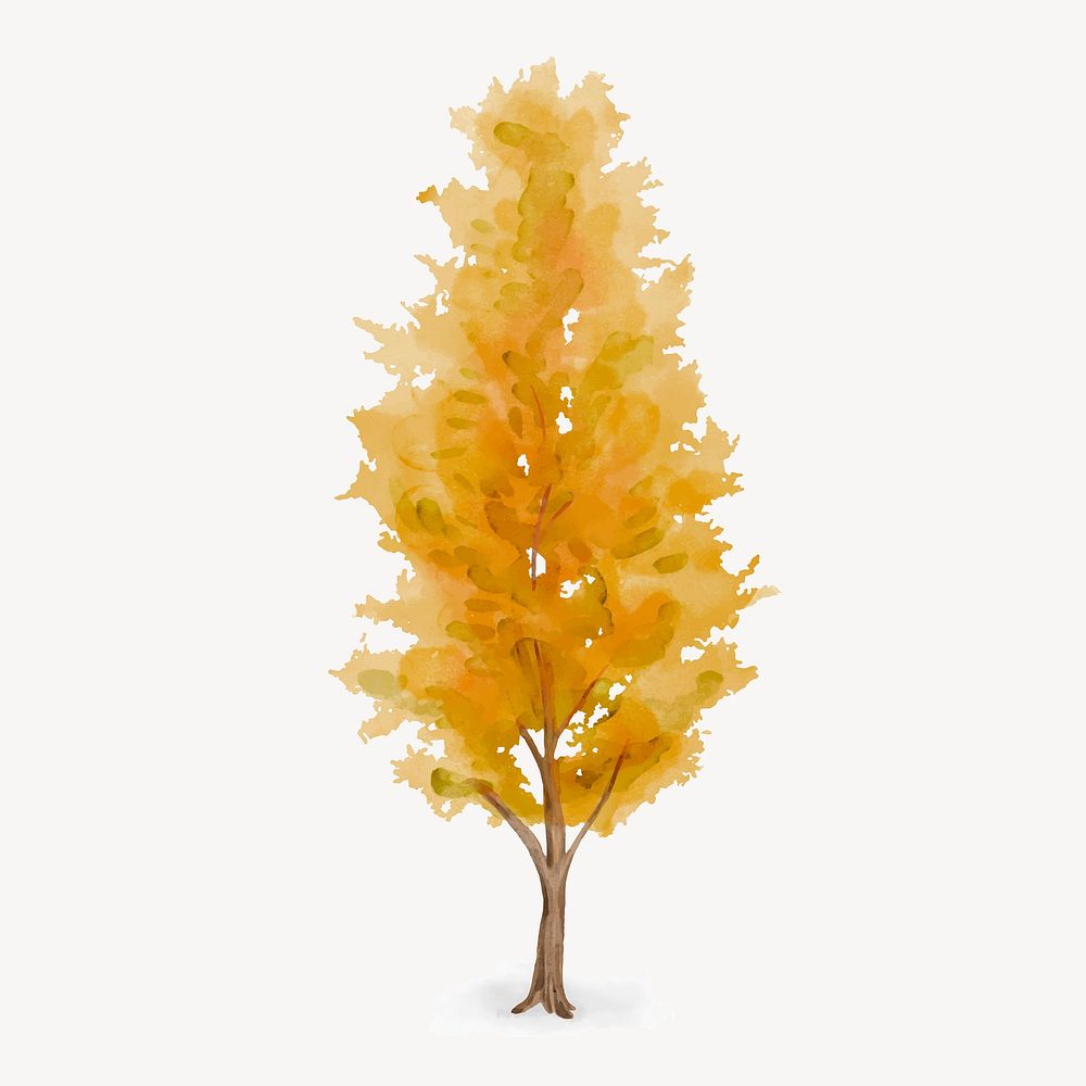 Yellow birch tree, autumn watercolor plant collage element vector
