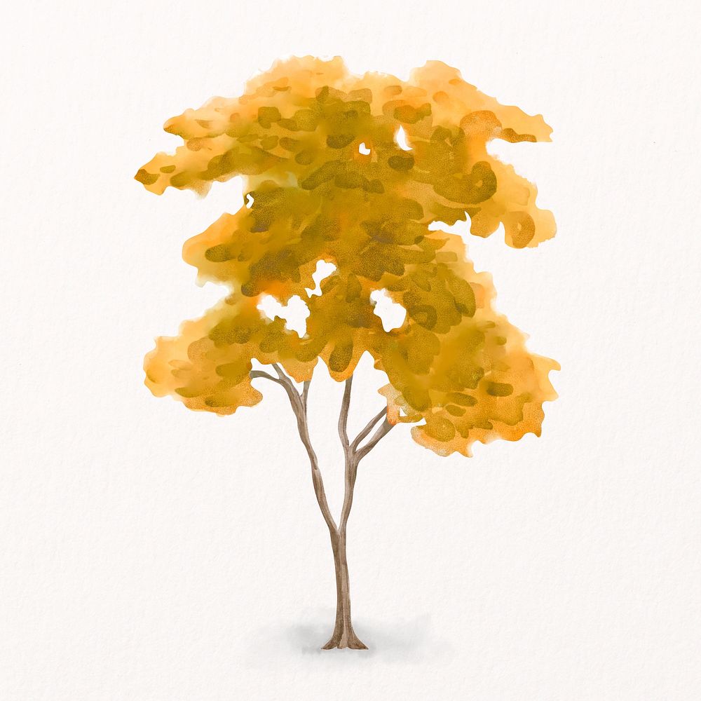 Watercolor autumn tree, plant collage element psd