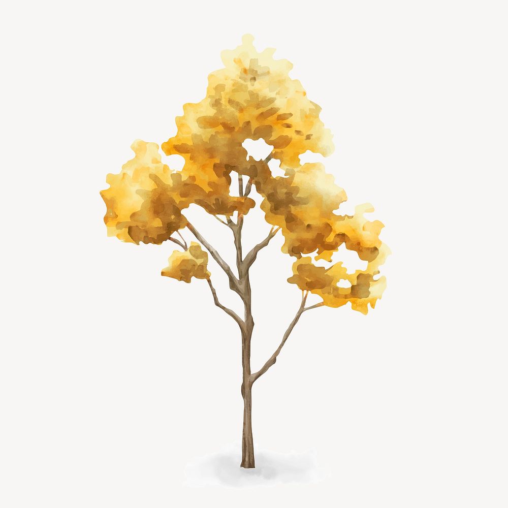 Watercolor yellow tree, autumn collage element vector