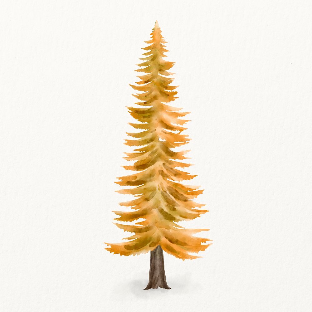 Watercolor orange tree, autumn nature illustration