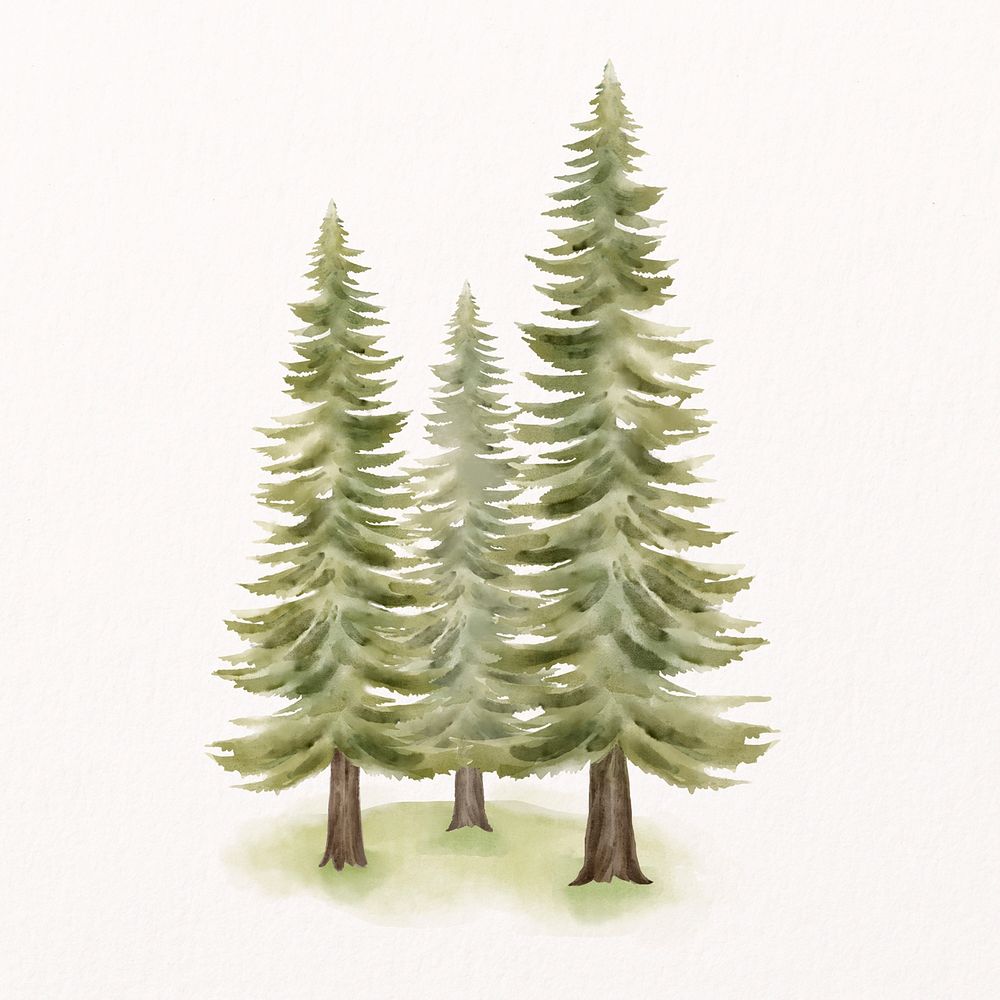 Pine forest, watercolor nature collage element psd