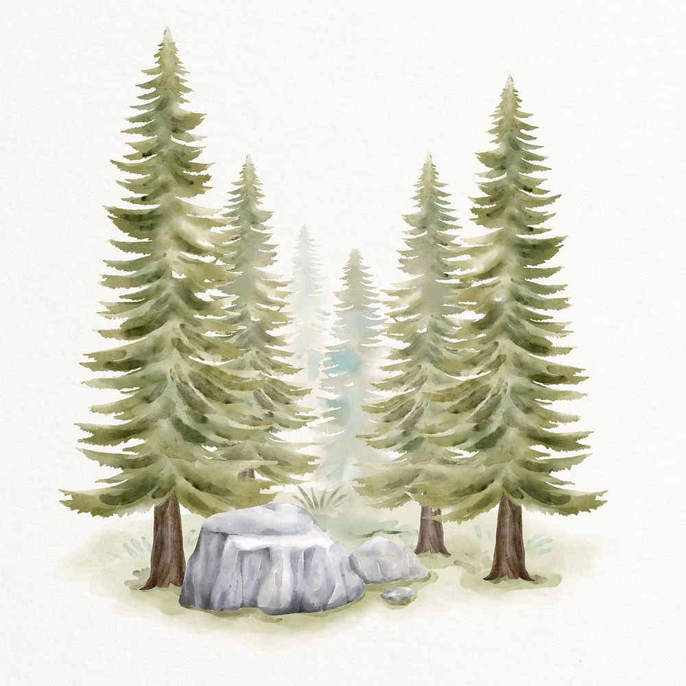 Pine forest, watercolor nature illustration