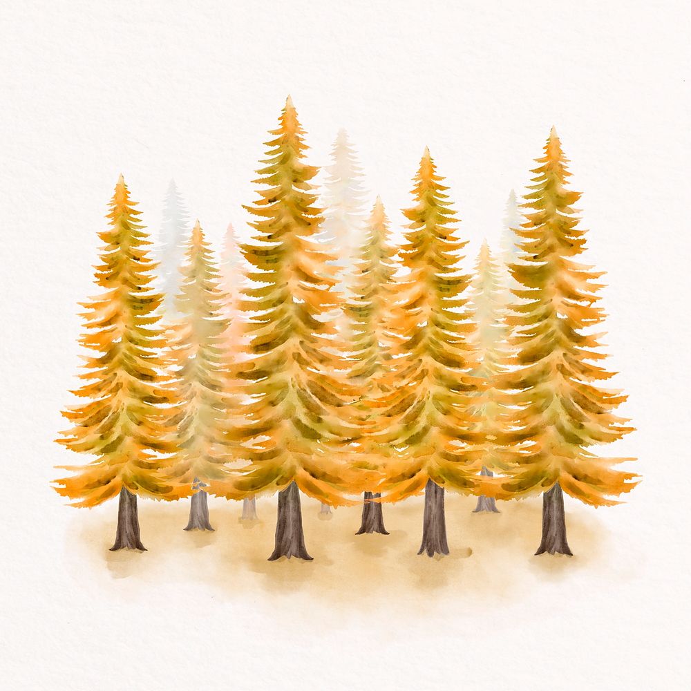 Watercolor autumn pine trees collage element psd