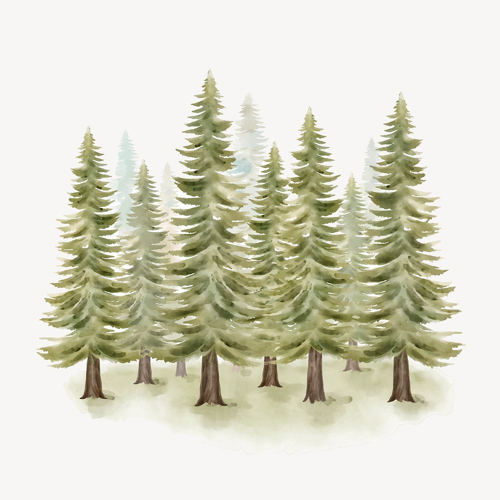 Watercolor pine forest collage element vector