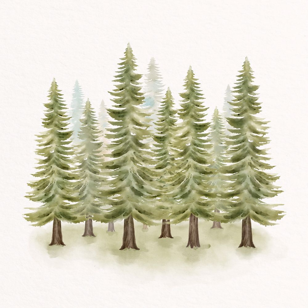 Watercolor nature collage element, pine forest illustration psd