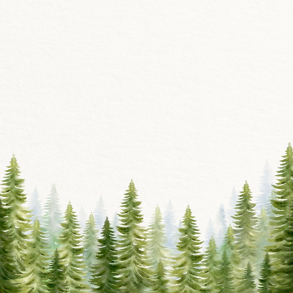 Watercolor pine forest background, nature illustration