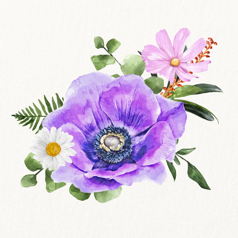 Watercolor purple anemone flower illustration