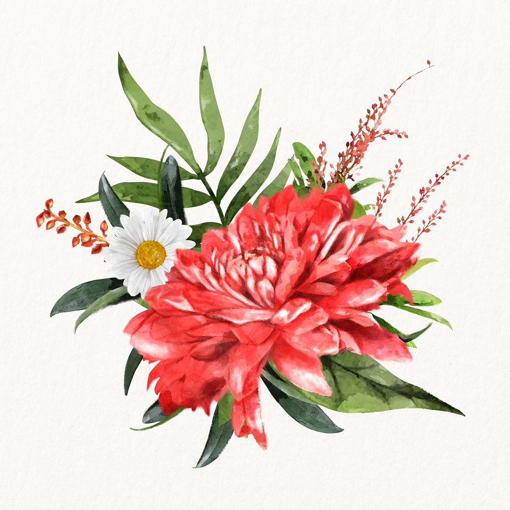 Watercolor red chrysanthemum, flower arrangement illustration