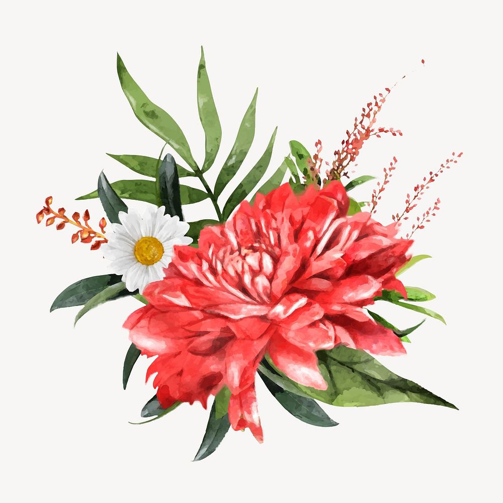 Red chrysanthemum, watercolor flower collage element vector