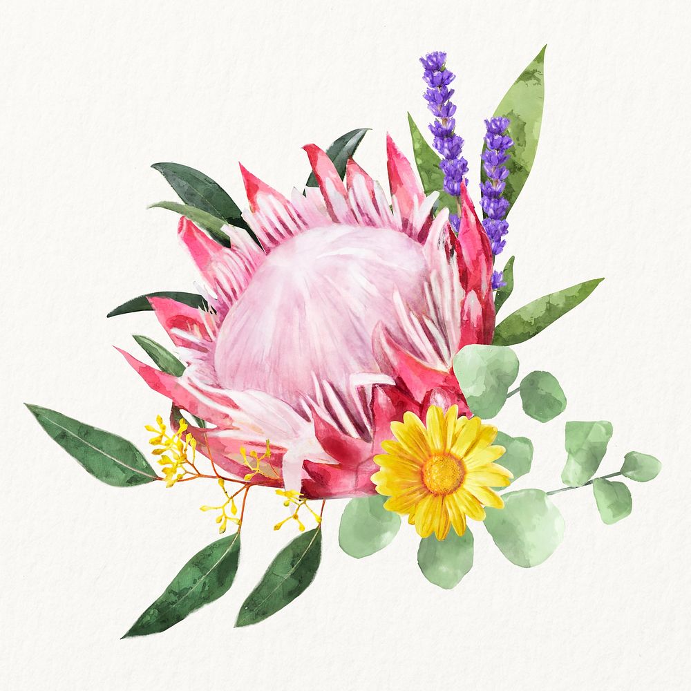 Watercolor king protea, flower arrangement illustration