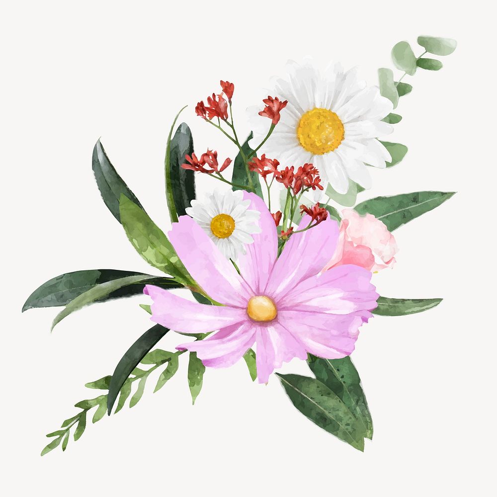 Watercolor pink cosmos, flower collage element vector