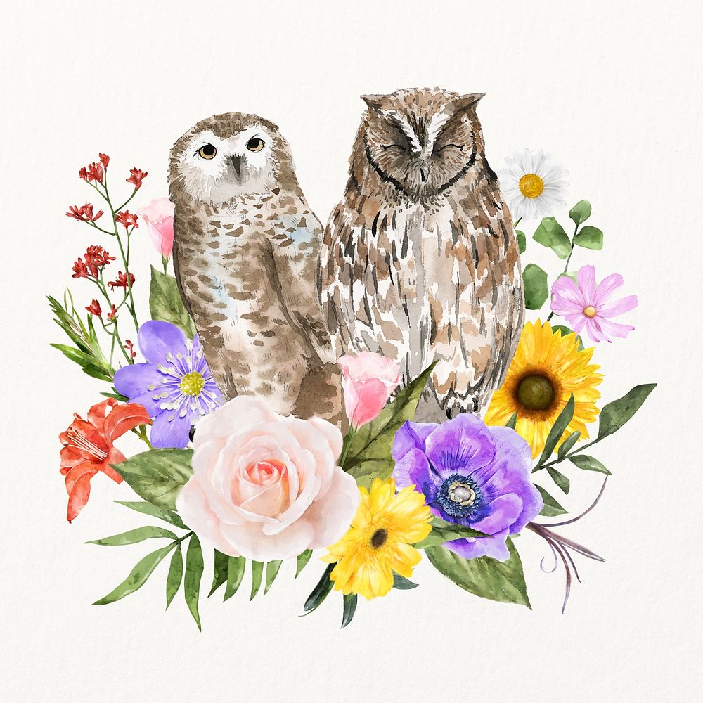 Owls and flower element, spring watercolor illustration