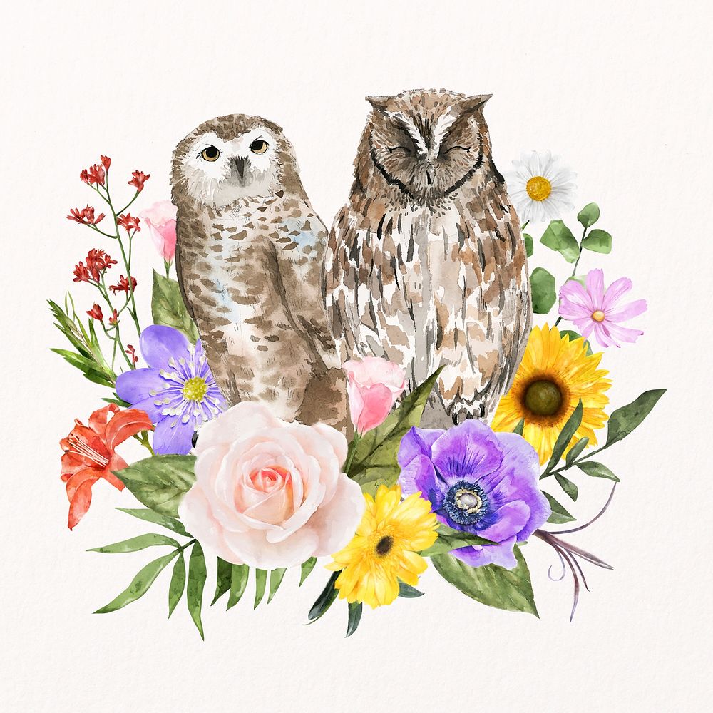 Owls and flowers, watercolor collage element psd