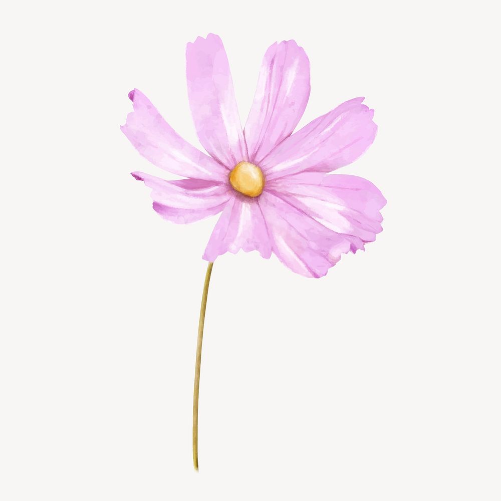 Pink cosmos, watercolor flower collage element vector
