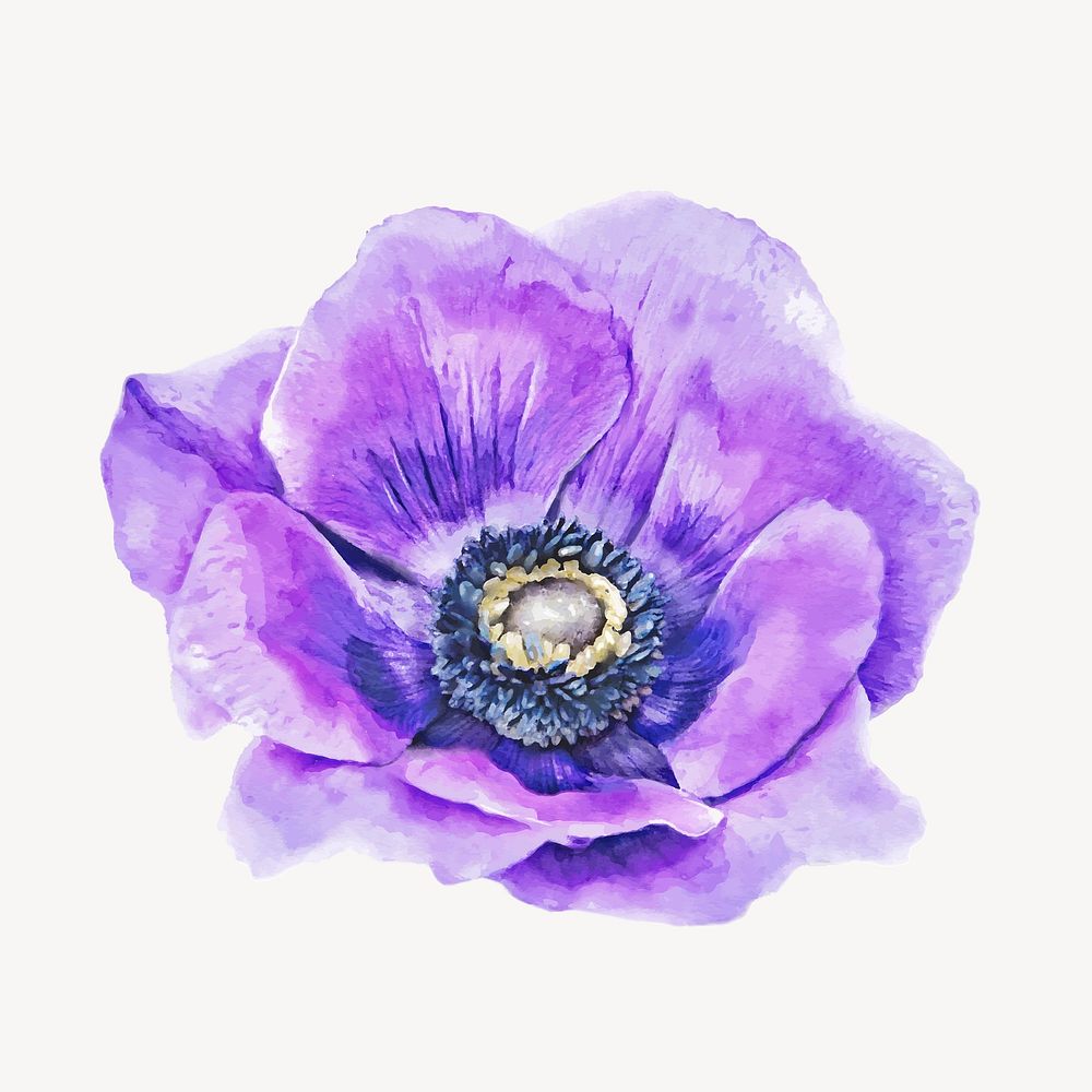 Watercolor purple anemone flower collage element vector
