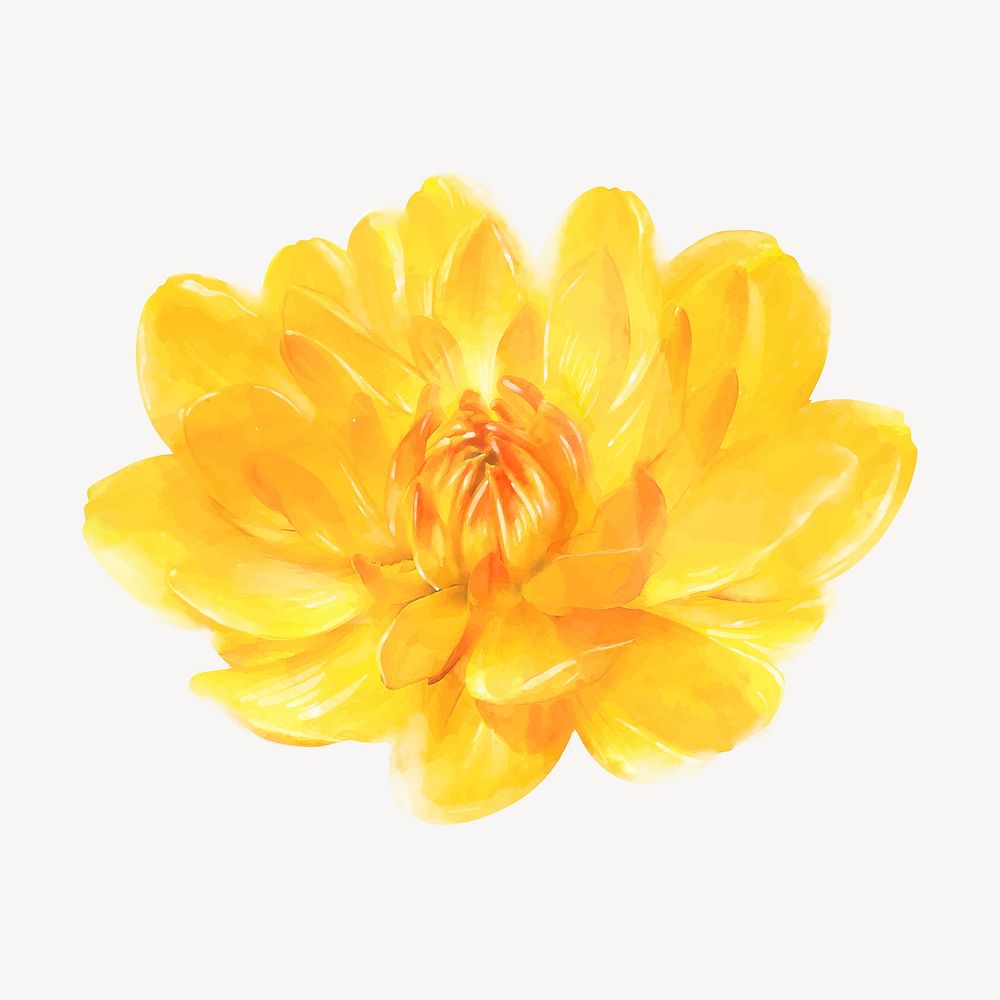 Watercolor yellow waterlily dahlia, flower collage element vector