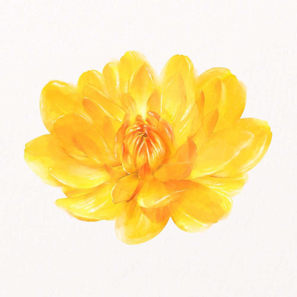Yellow flower, watercolor dahlia collage element psd