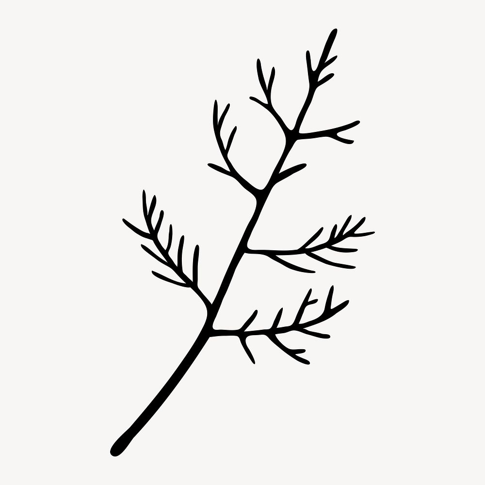 Cedar branch silhouette, plant collage element vector