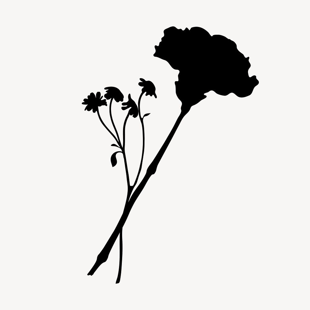 Flower silhouette, carnation and daisy clipart vector