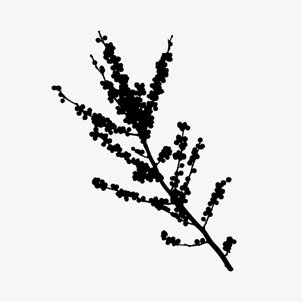 Winterberry branch silhouette, plant collage element vector