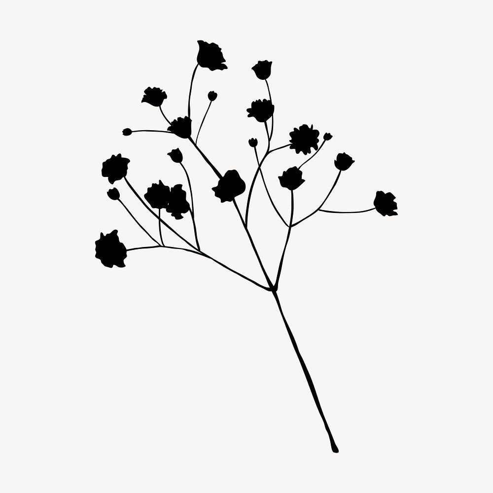 Silhouette flower, gypsophila branch illustration