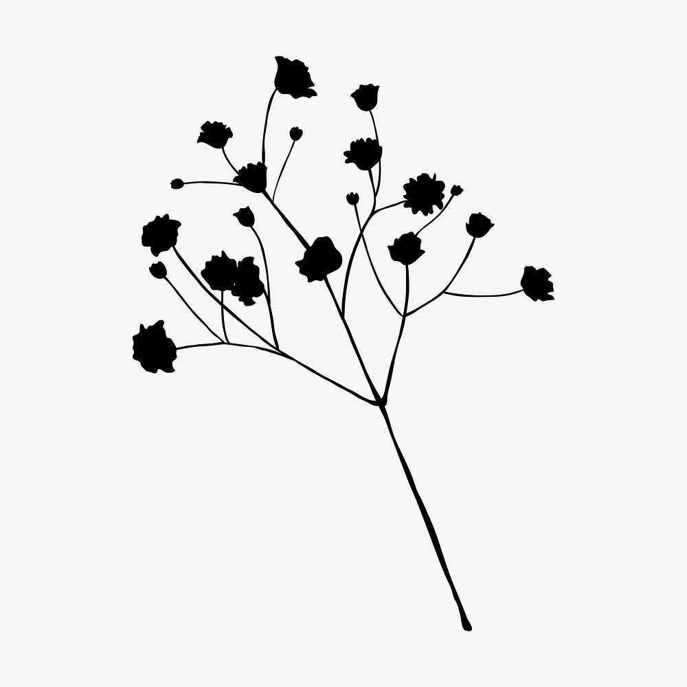 Silhouette flower, gypsophila branch clipart psd