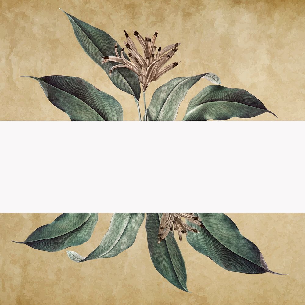 Floral banner on a vintage paper background vector