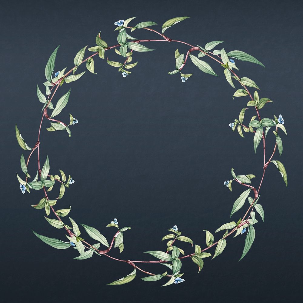 Botanical green wreath on a blue wall illustration