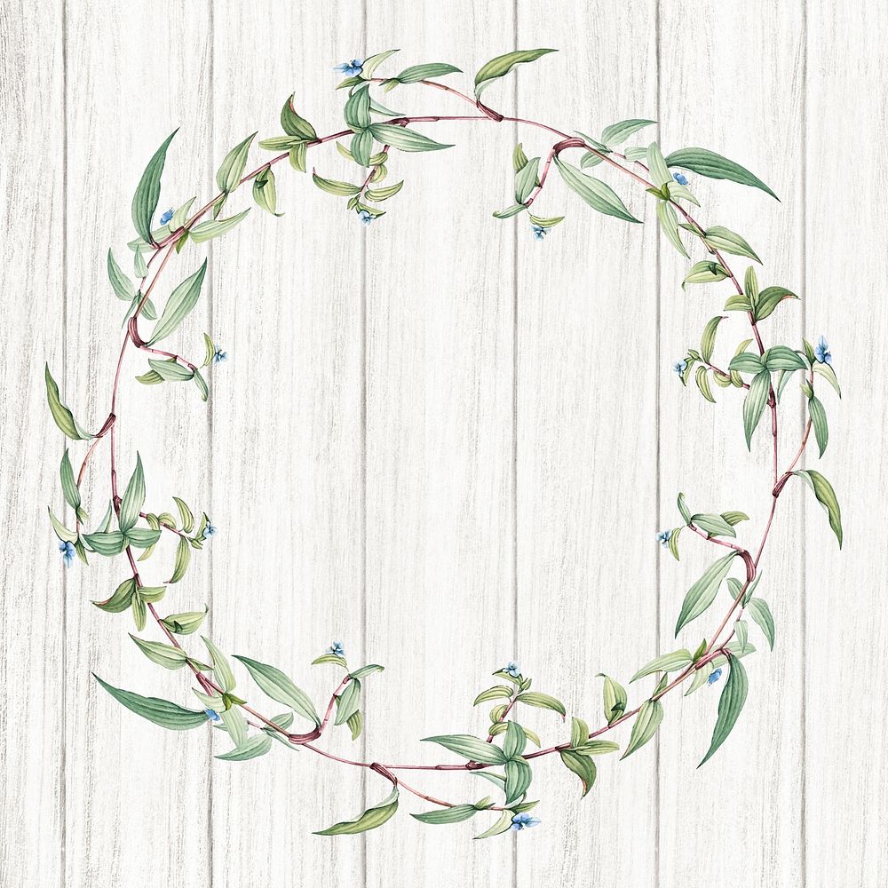 Botanical green wreath on a wooden background