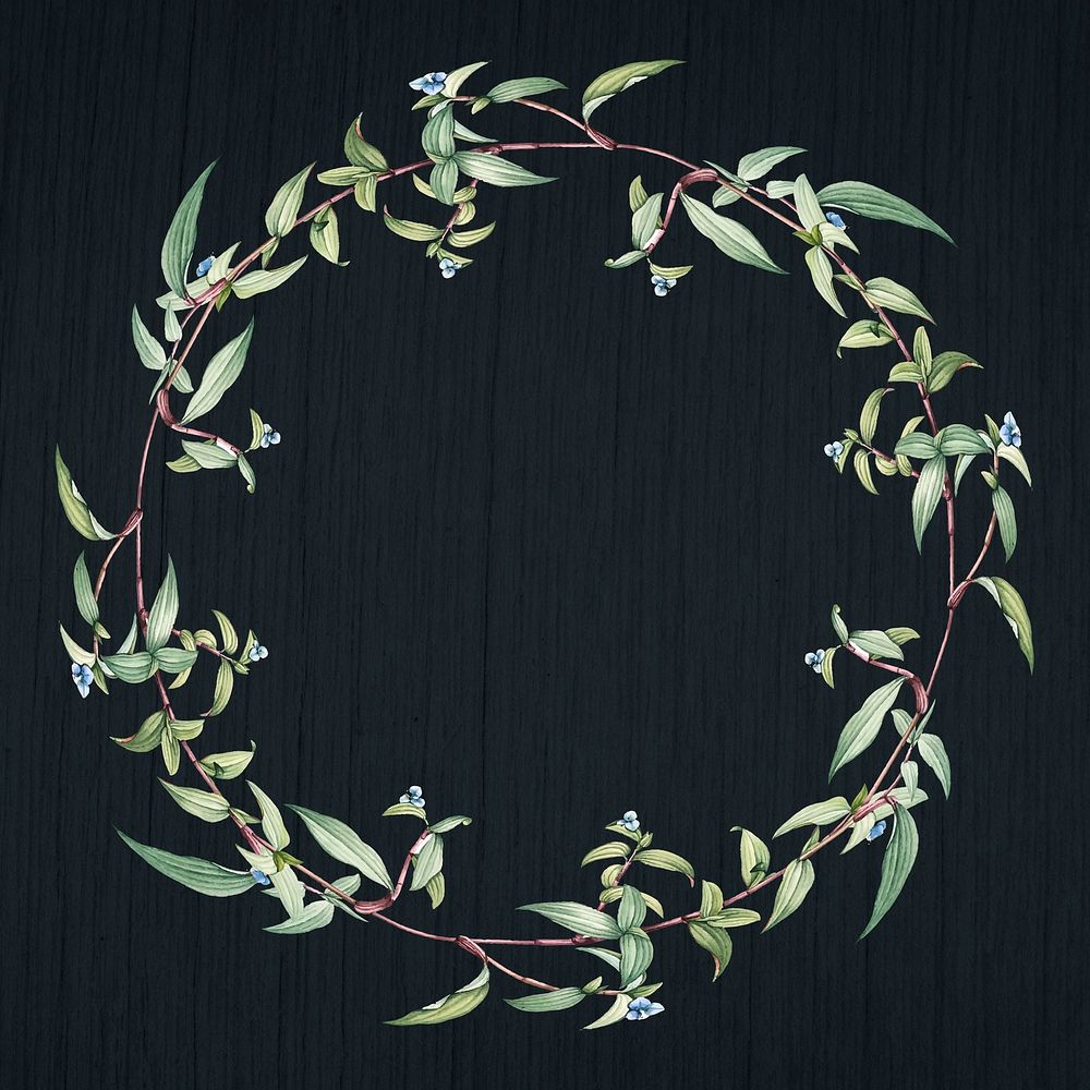 Botanical green wreath on a black wooden background