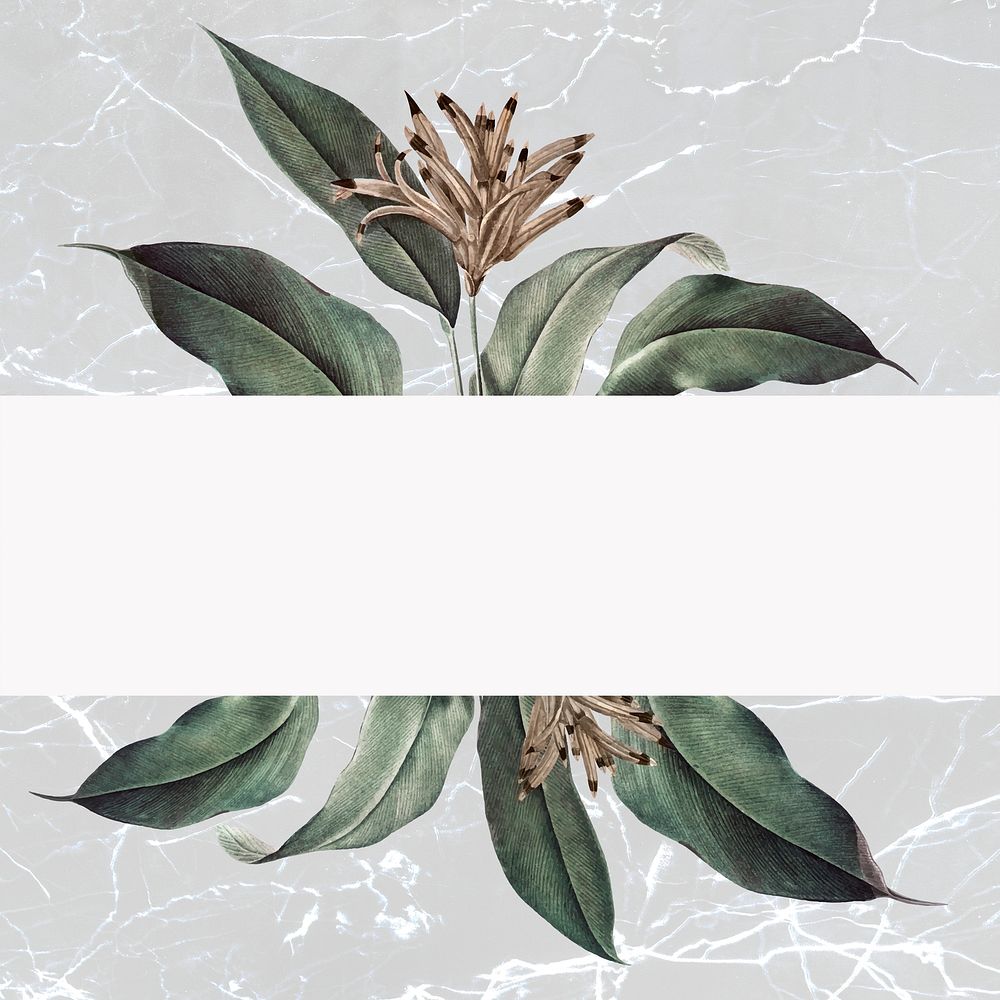 Floral banner on a marble background