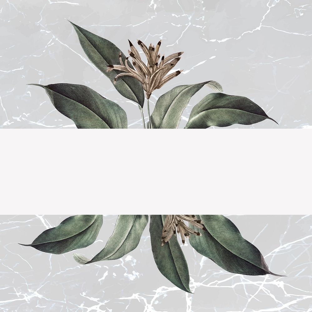 Floral banner on a marble background vector