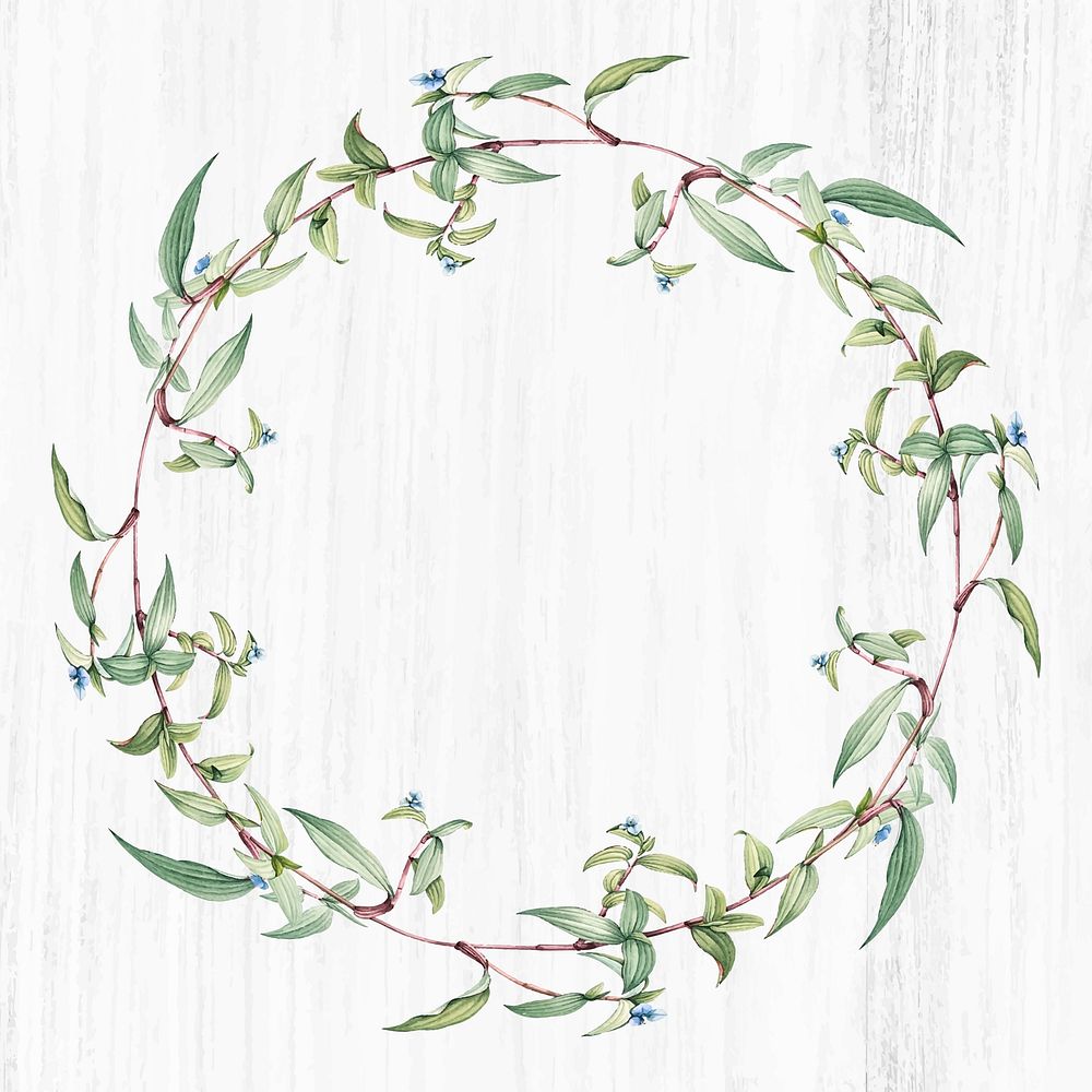 Botanical green wreath on a wooden background vector