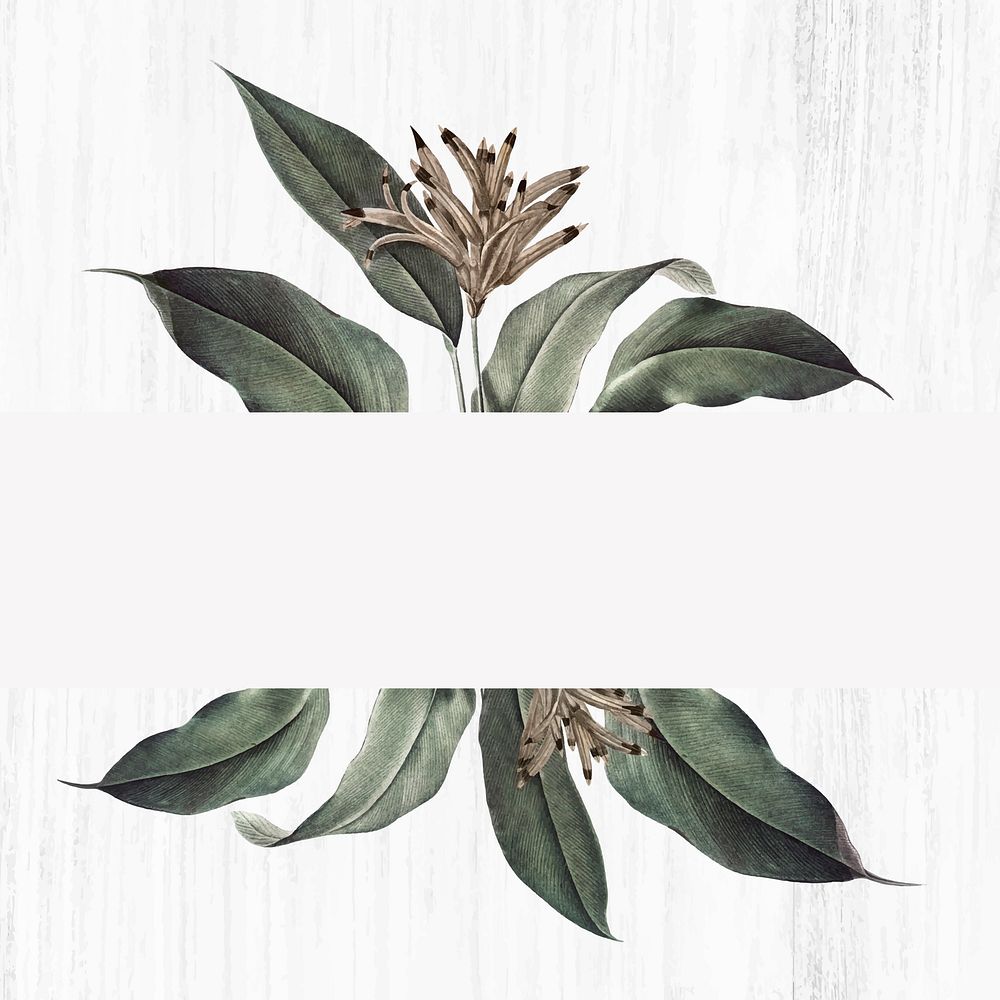 Wooden background with a floral banner vector