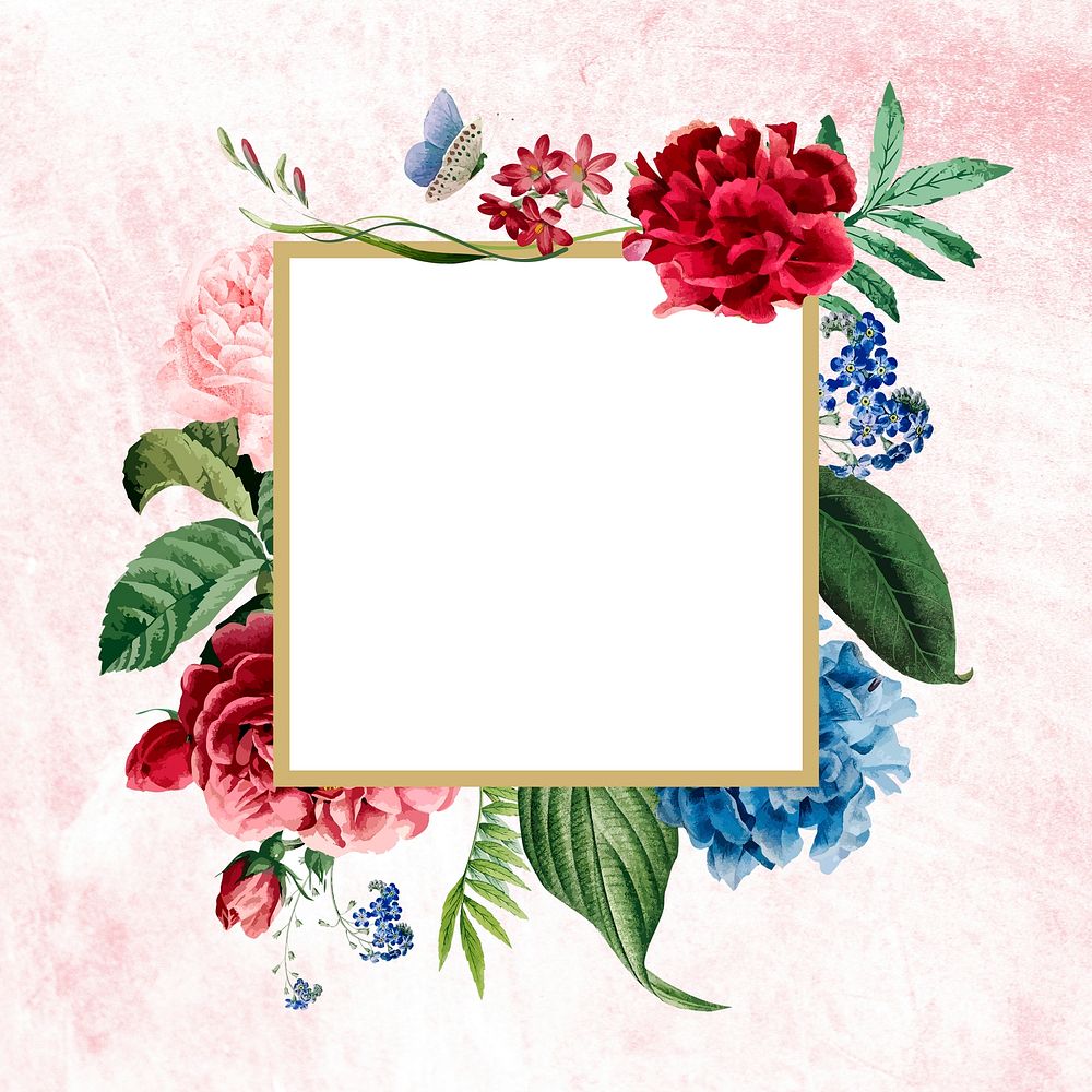 Floral square frame on a pink concrete wall illustration