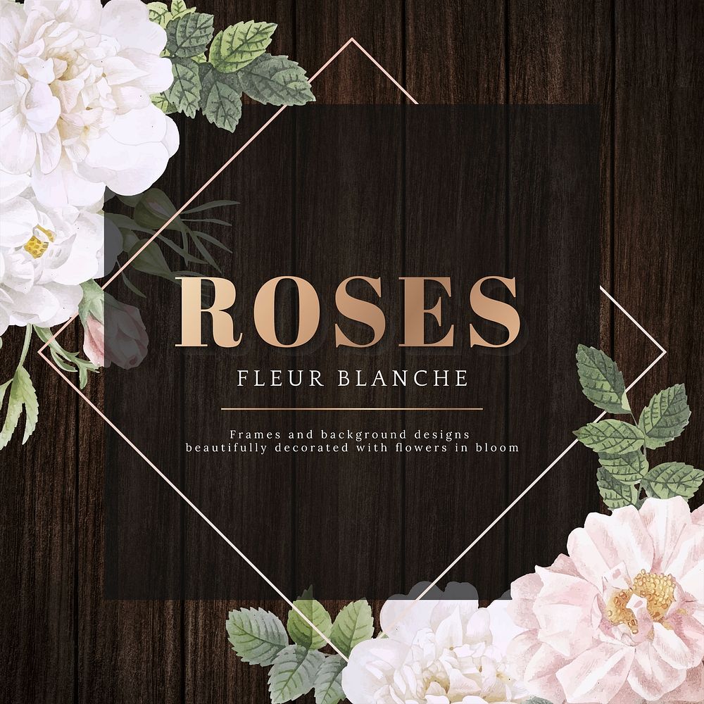 Frame on a wooden background with musk rose illustration