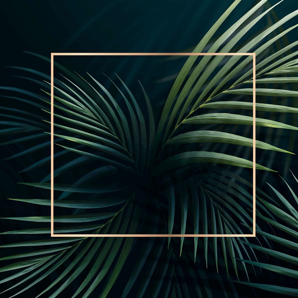 Square golden frame on a tropical background vector