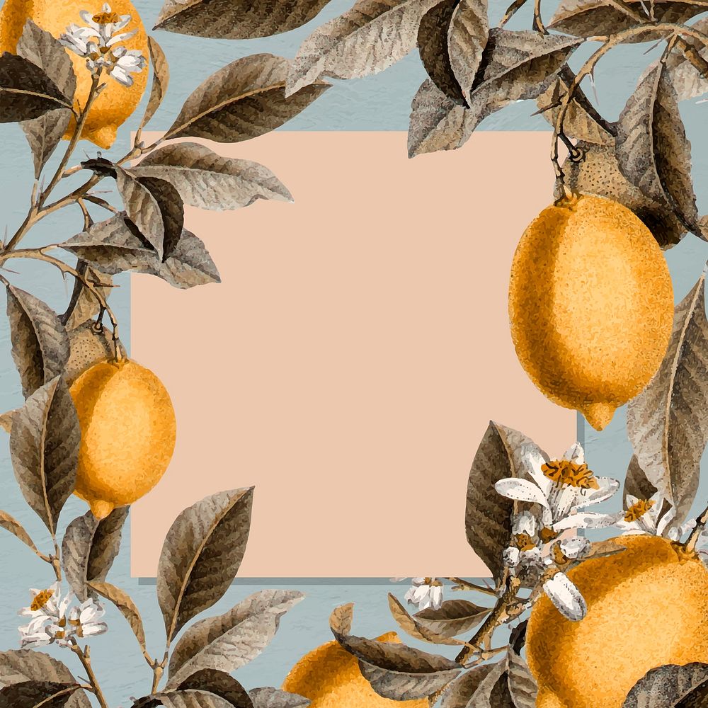 Blank tropical lemon card vector