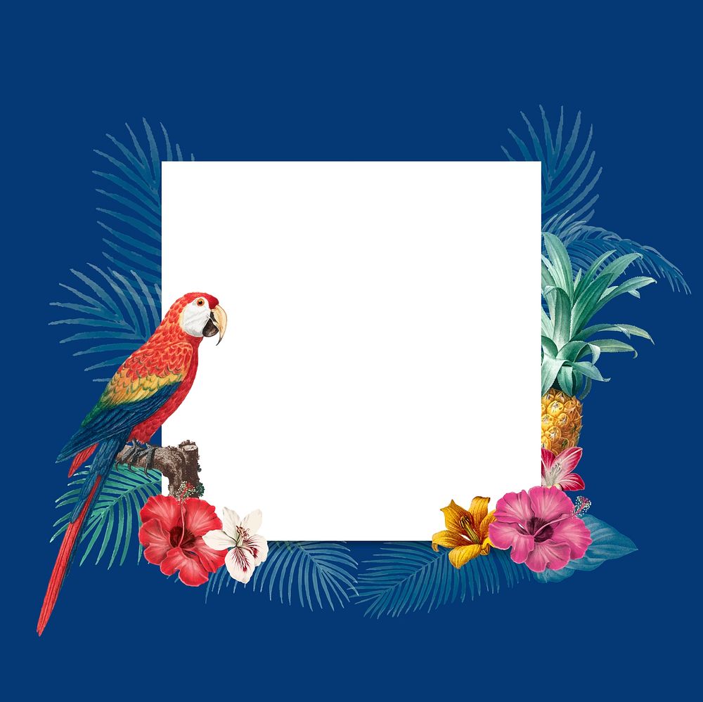 Tropical frame on background vector