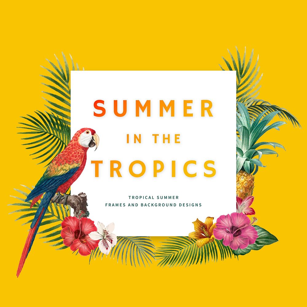 Tropical square frame on yellow background illustration